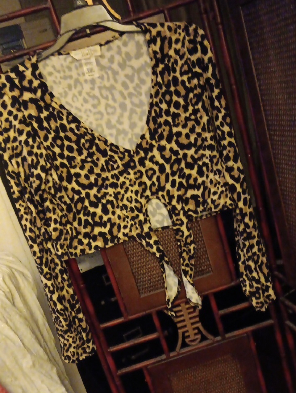 Leopard Print Tie-Front V-Neck Top - Animal Print